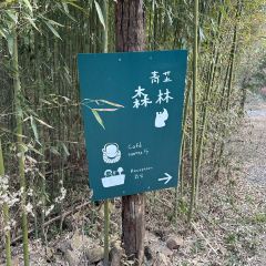 青芷森林·咖啡店 User Photo