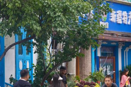 阿纳玛坎美食(宝地花苑店)