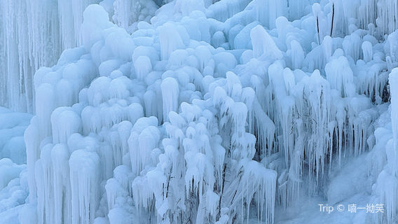 jiu li kuang bing pu bu