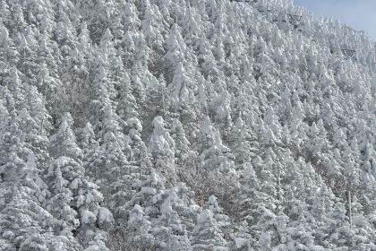 Yokote Sancho Hutte Kumo No Ue No Restaurant