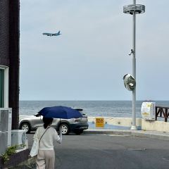 Hugely Jeju User Photo