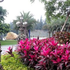 海南万国棋子湾海滩大酒店·木棉中餐厅 User Photo