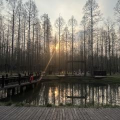 天仙缘草市街美食街区 User Photo