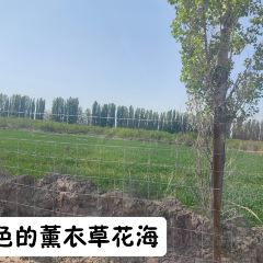 晃晃咖啡 User Photo