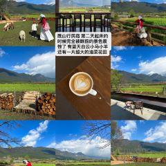 咸鱼咖啡馆 User Photo