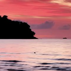 ZING Sunset Bar User Photo