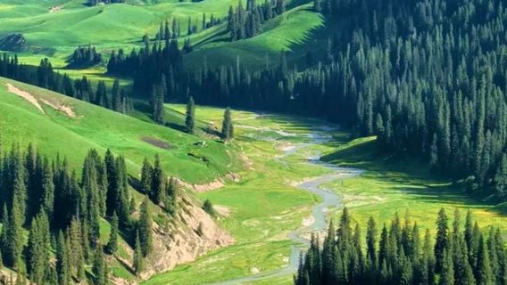 tuo hu la su cao yuan