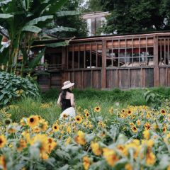 介个院子·草坪团建·围炉冰粉 User Photo