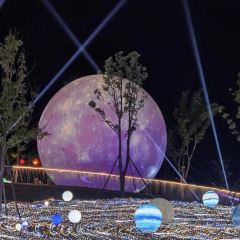 泓悦大酒店(中华彩灯大世界店)·餐厅 User Photo