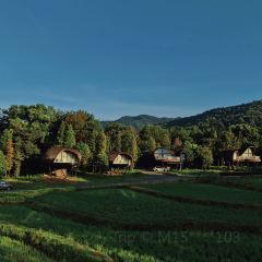 树蛙部落(仙女湖店)·餐厅 User Photo