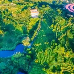 MAN XIANG SHU User Photo