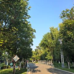 金地肥牛府(秀水街店) User Photo