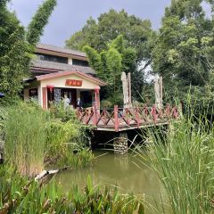 石林杏林大观园樱花峪药膳坊餐厅 User Photo