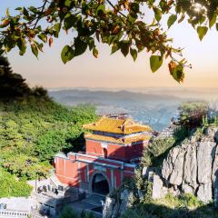 老城根土菜館張用戶圖片