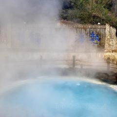 有芬餐館張用戶圖片