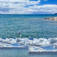 RU YI LIN KA TONG GUO MAO NIU ROU User Photo