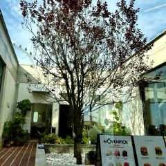 RICH&LIBERTY User Photo