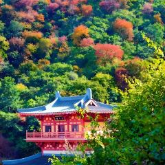 刘二娃串串香火锅(炳草岗店) User Photo