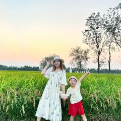 庐江汤池稼圃集民宿·念丘山花园中餐厅 User Photo