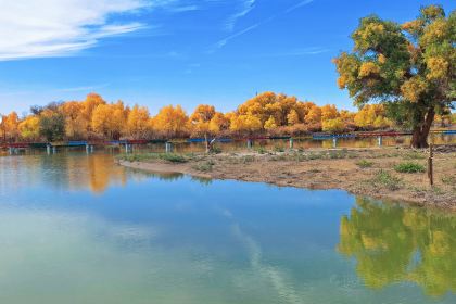 泽成冰煮羊(大盛魁店)
