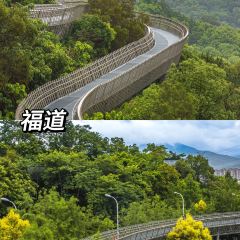 四道菜·福建菜館（東百元洪城店）張用戶圖片