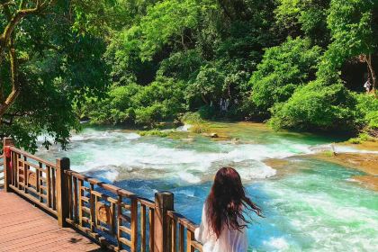 DA MU ZHI NIU ROU FEN