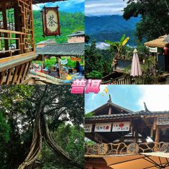 申记臭豆腐煮鱼(五一步行街店) User Photo