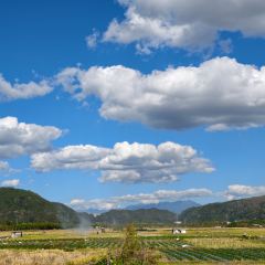 邓氏大薄片 User Photo