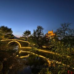 邓氏大薄片 User Photo