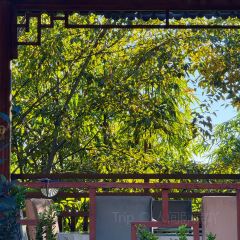 迎曦小院 User Photo