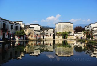 秀嫂挞粿 User Photo