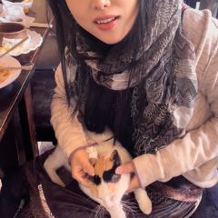 Abdu Restaurant 여행 사진
