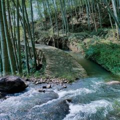 面包与空气 User Photo