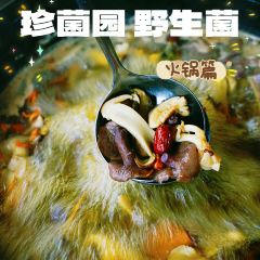 珍菌园·野生菌主题餐厅(告庄店) User Photo