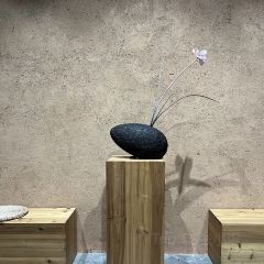 九号咖啡 User Photo