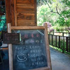 稻田咖啡馆 User Photo
