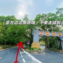 小众户外烧烤 User Photo