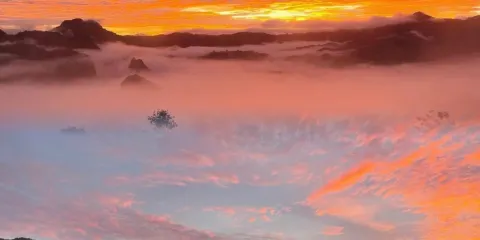 Magic Mountains Cafe