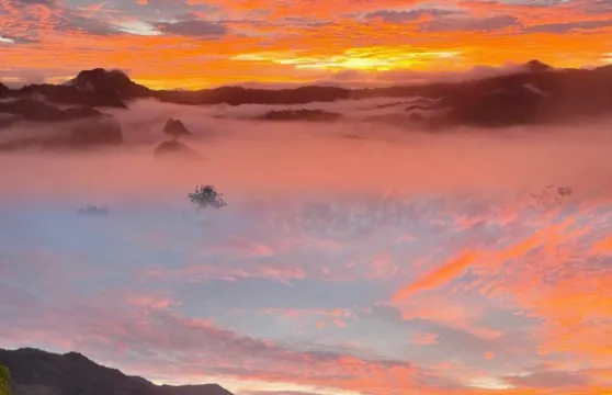 Magic Mountains Cafe