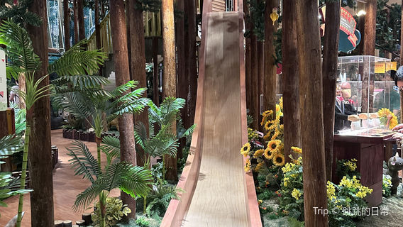 Adventure Park, Yellow Sea Forest Park