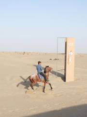 新疆塔克拉瑪幹N39沙漠旅遊景區