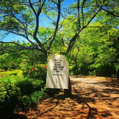 Manor Blanc User Photo