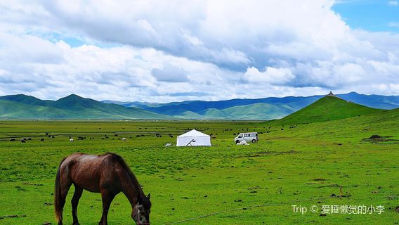 Zoige Grassland Nature Reserve