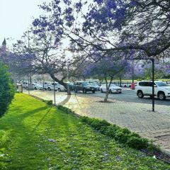 The Dabbab Walkway User Photo