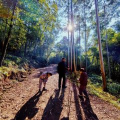 山涧别院 User Photo