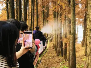 溪西老街卸勇牛肉面馆