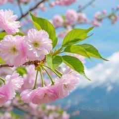 运河会馆 User Photo