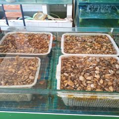 渔家海鲜家常菜 User Photo