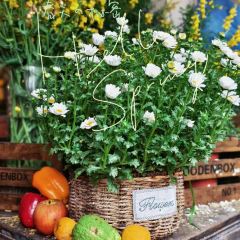 小隐小栖(蒲江店) User Photo