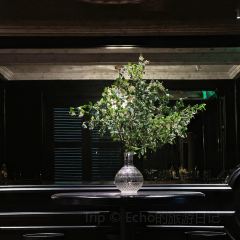 馋·canfa User Photo